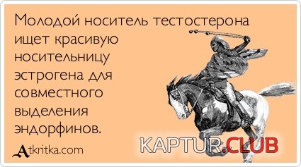 3628bddf20218d1fb38499a042b.jpg | Рено Каптур Клуб Россия | Форум KAPTUR.SU