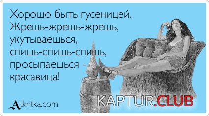 3667d6c751aa5f3eee39740389b.jpg | Рено Каптур Клуб Россия | Форум KAPTUR.SU