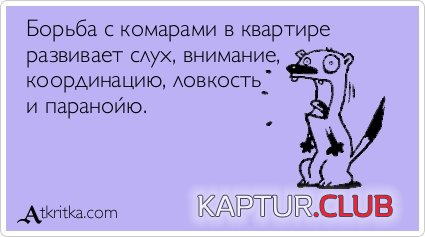 36733b44e1c5cebed99a146e3f8.jpg | Рено Каптур Клуб Россия | Форум KAPTUR.SU