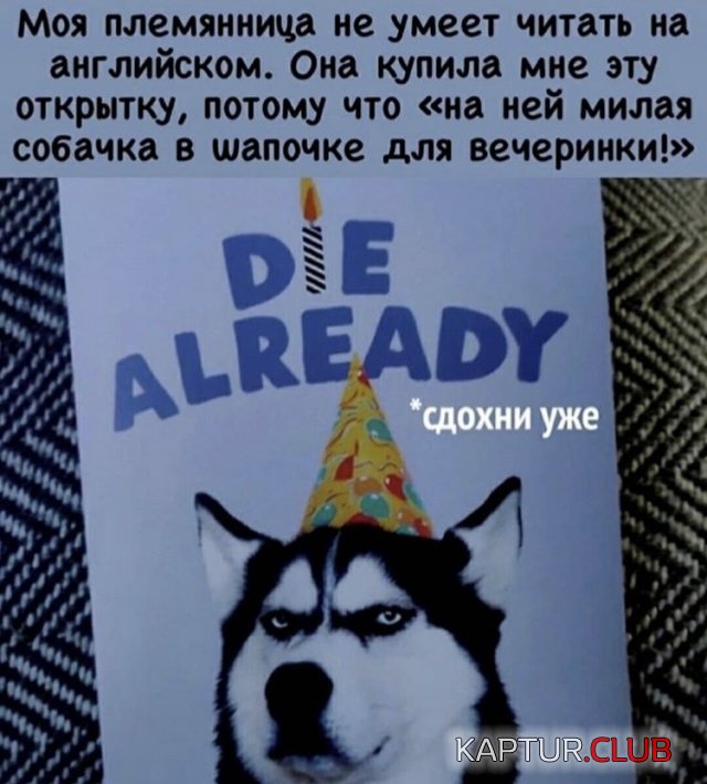 370.jpg | Рено Каптур Клуб Россия | Форум KAPTUR.SU
