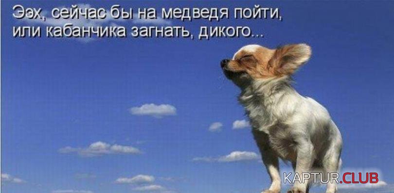 37879e772ad165b31ce0b0fb398_prev.jpg | Рено Каптур Клуб Россия | Форум KAPTUR.SU