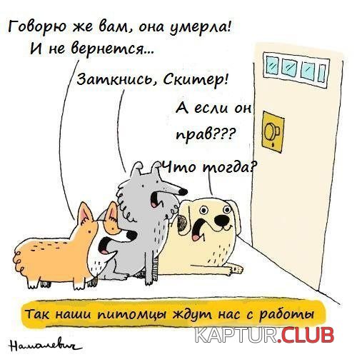 37c24f4205d4.jpg | Рено Каптур Клуб Россия | Форум KAPTUR.SU