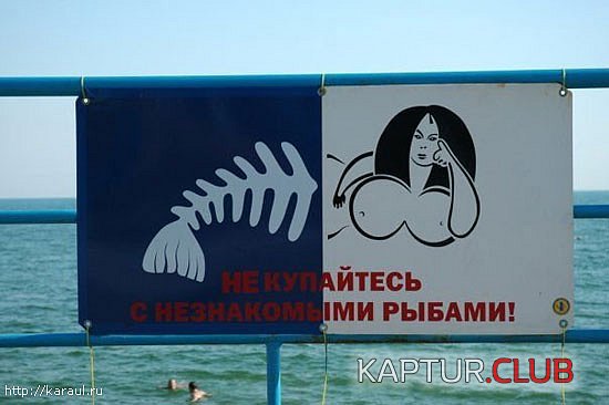 37e2fa39d9b6c71a174cfb893e1.jpg | Рено Каптур Клуб Россия | Форум KAPTUR.SU