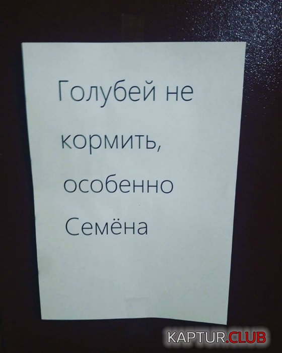 38163b0e6090f9c23b9f4b3d13a.jpg | Рено Каптур Клуб Россия | Форум KAPTUR.SU