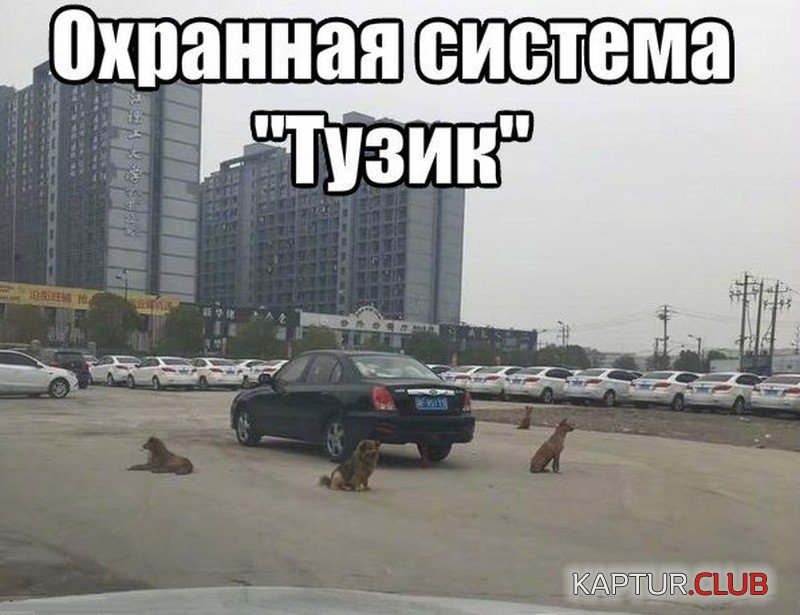 38e3ff1979249ee695efac9c353.jpg | Рено Каптур Клуб Россия | Форум KAPTUR.SU