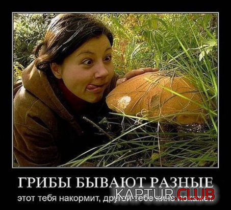 38f0d5965258f2ccefe4d047e18.jpg | Рено Каптур Клуб Россия | Форум KAPTUR.SU