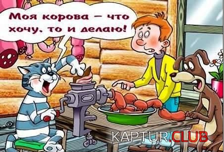 3903da709f64bd67102dcd6e6bf0a087_full.jpg | Рено Каптур Клуб Россия | Форум KAPTUR.SU