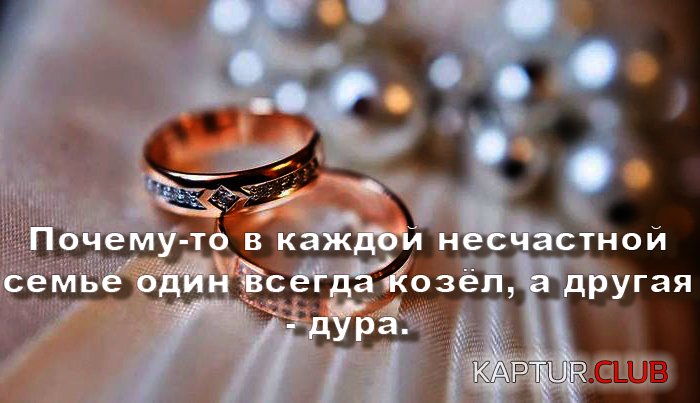 396d82f9a1a18947e9f4351e998.jpg | Рено Каптур Клуб Россия | Форум KAPTUR.SU