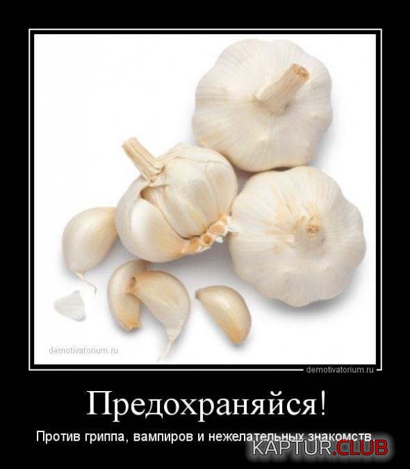 397f4ce87168cd1fd0b7386b466_prev.jpg | Рено Каптур Клуб Россия | Форум KAPTUR.SU