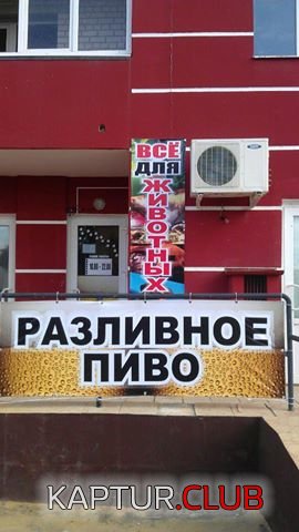 39a950a11e674b0bb90bc53768c.jpg | Рено Каптур Клуб Россия | Форум KAPTUR.SU