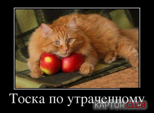 39ccca5b76cea8fc98bab61c641_prev.jpg | Рено Каптур Клуб Россия | Форум KAPTUR.SU