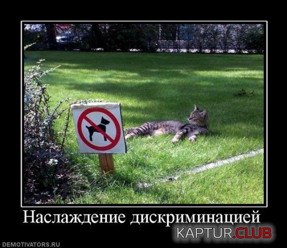 39f8f89871b3f72d93f43426e0f_prev.jpg | Рено Каптур Клуб Россия | Форум KAPTUR.SU