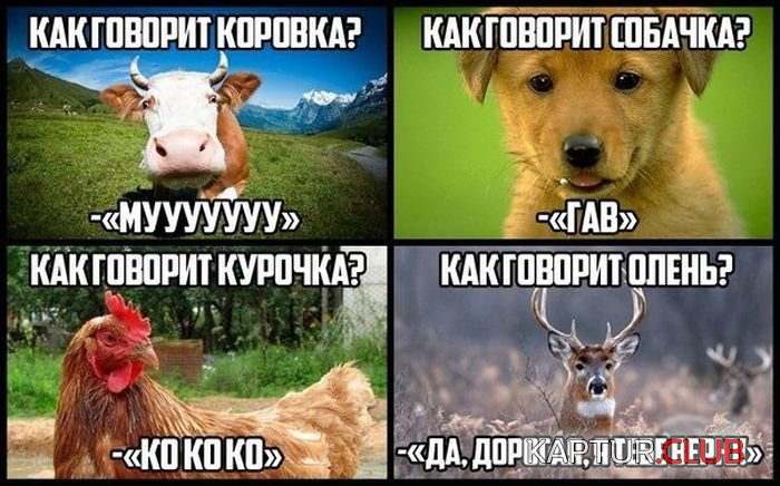 3_9.jpg | Рено Каптур Клуб Россия | Форум KAPTUR.SU
