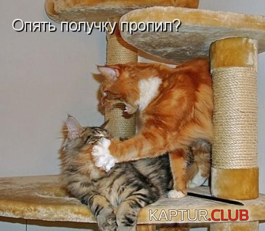 3acf7de27c4e508ac4ec10b034522a94_full.jpg | Рено Каптур Клуб Россия | Форум KAPTUR.SU