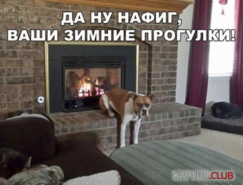3add141174cbb7c9c827fc3ef38.jpg | Рено Каптур Клуб Россия | Форум KAPTUR.SU