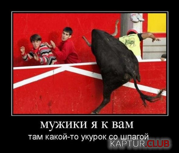 3af9ab8c2a4f684142bb33ad803_prev.jpg | Рено Каптур Клуб Россия | Форум KAPTUR.SU