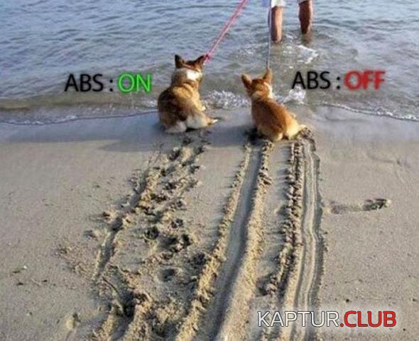 3baa5abbfd7e4c21fa6f196e116_prev.jpg | Рено Каптур Клуб Россия | Форум KAPTUR.SU