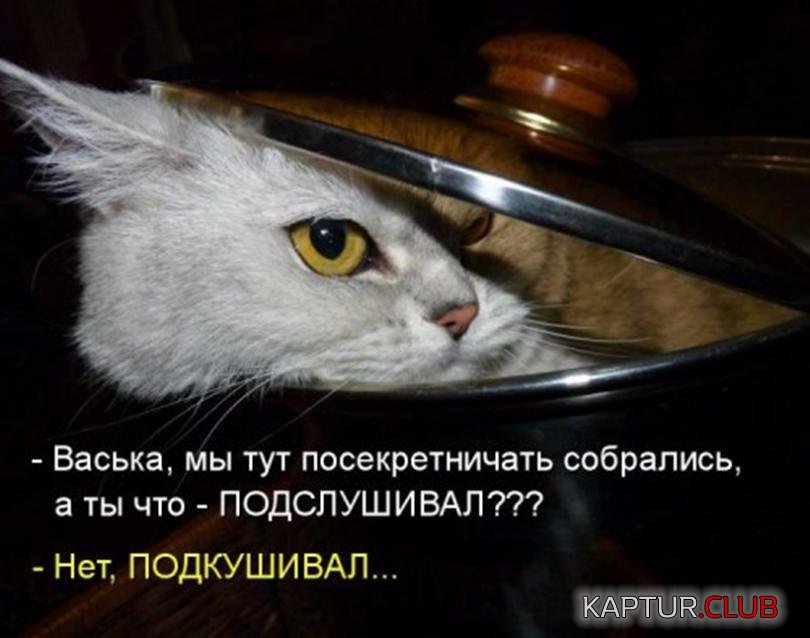 3bc12493f8df96d9a253ed32d8c_prev.jpg | Рено Каптур Клуб Россия | Форум KAPTUR.SU