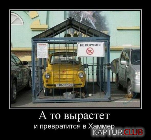 3c2f01c5e73c16839d7a51dd53c_prev.jpg | Рено Каптур Клуб Россия | Форум KAPTUR.SU