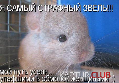3c745368f7c951e2d64ae467af63bf8d_full.jpg | Рено Каптур Клуб Россия | Форум KAPTUR.SU