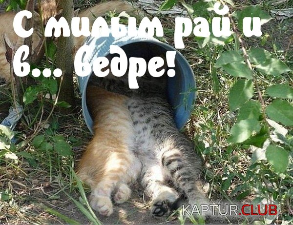 3ce68b11e8e1bf94d3aa00a6e4d.jpg | Рено Каптур Клуб Россия | Форум KAPTUR.SU