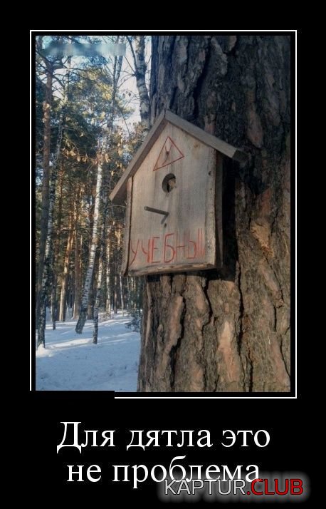 3d1185baa9e8368ac01c4c20aa0.jpg | Рено Каптур Клуб Россия | Форум KAPTUR.SU