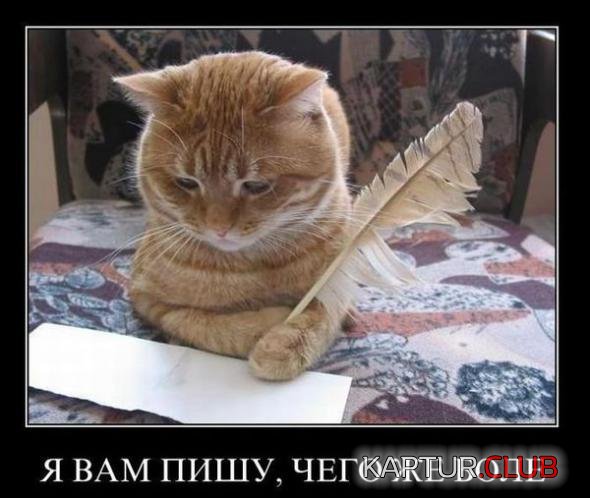 3d5e791160098bfb56346f150cc_prev.jpg | Рено Каптур Клуб Россия | Форум KAPTUR.SU