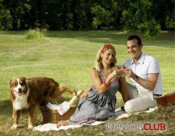 3d7566be34d6691fcff4433bcc7_prev.jpg | Рено Каптур Клуб Россия | Форум KAPTUR.SU