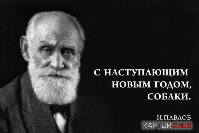 3daeb4d2c4dc328e8891ab591ae_prev.jpg | Рено Каптур Клуб Россия | Форум KAPTUR.SU