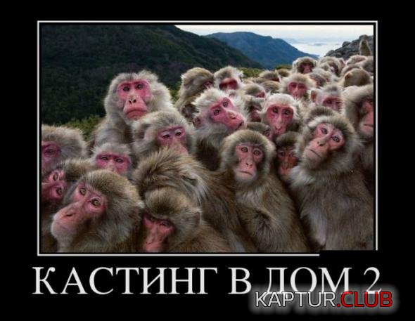 3df06c13c56919dcd14eeefb996_prev.jpg | Рено Каптур Клуб Россия | Форум KAPTUR.SU