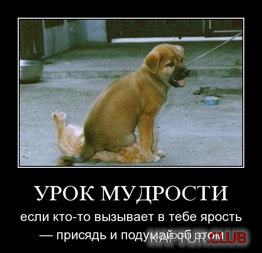 3e1fcda9baf8bb3d85bd0238c0f.jpg | Рено Каптур Клуб Россия | Форум KAPTUR.SU