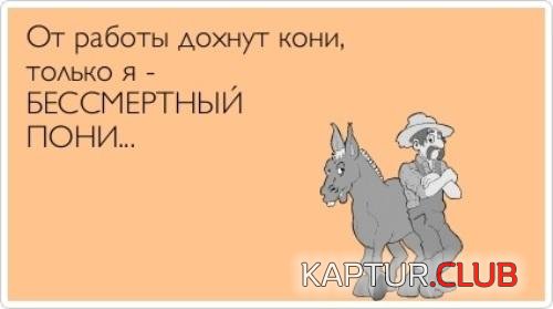 3e3b2a7a3d88988e8d4b23e0273.jpg | Рено Каптур Клуб Россия | Форум KAPTUR.SU