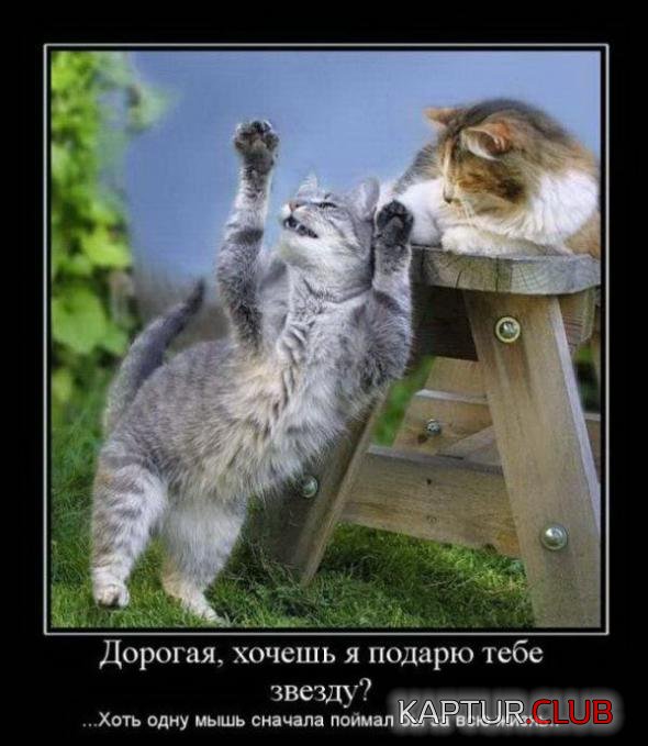 3e6af0b7e7783dc22893f543d49_prev.jpg | Рено Каптур Клуб Россия | Форум KAPTUR.SU