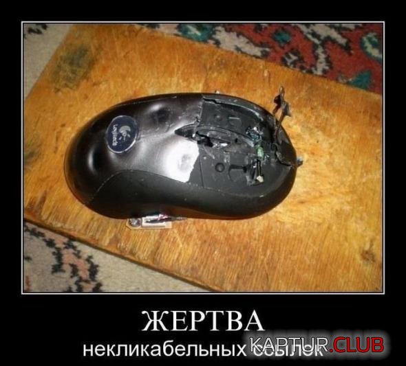 3e6b5572e490719a8a063019593_prev.jpg | Рено Каптур Клуб Россия | Форум KAPTUR.SU