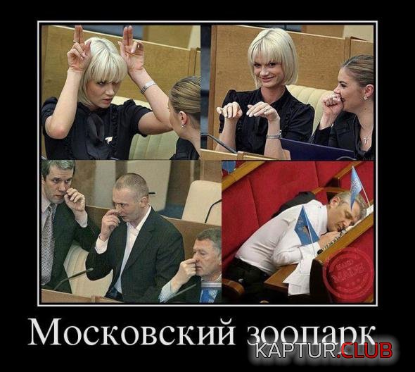 3e80b1b4c468f24ceafc3c539e3_prev.jpg | Рено Каптур Клуб Россия | Форум KAPTUR.SU