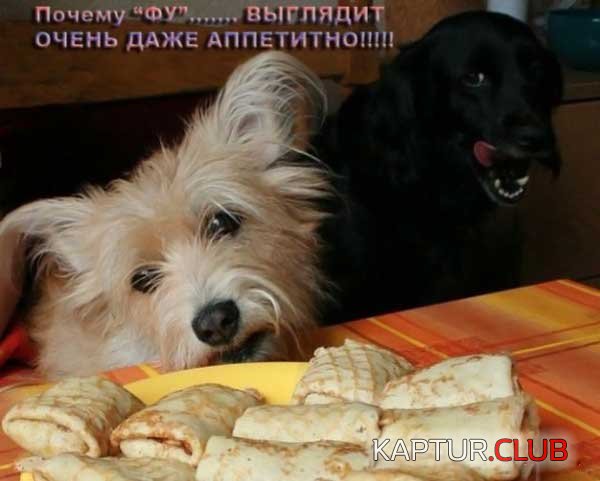 3edee364a825eaf63e588654d479c3a1_full.jpg | Рено Каптур Клуб Россия | Форум KAPTUR.SU