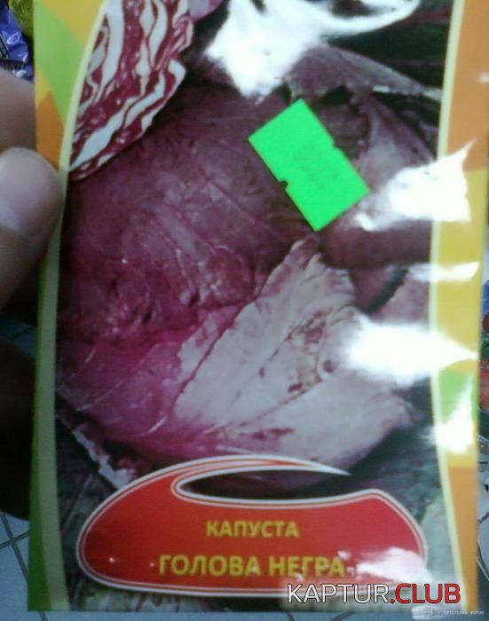 3f35b7b249600b35eac13ad0637_prev.jpg | Рено Каптур Клуб Россия | Форум KAPTUR.SU