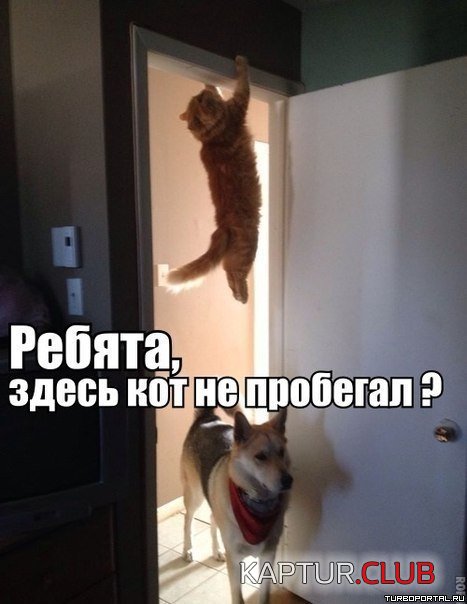3f4b2a27cb6aa209cbb74befcec.jpg | Рено Каптур Клуб Россия | Форум KAPTUR.SU