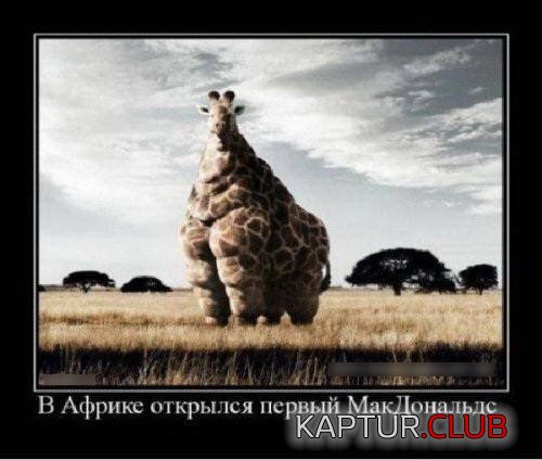 3f5a33ff803a0de7c5854f911b9.jpg | Рено Каптур Клуб Россия | Форум KAPTUR.SU