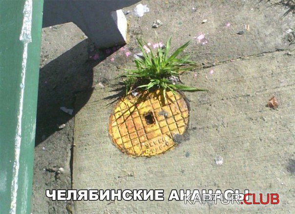 3f991fe29a70d7e3ceb0cb76b0b.jpg | Рено Каптур Клуб Россия | Форум KAPTUR.SU