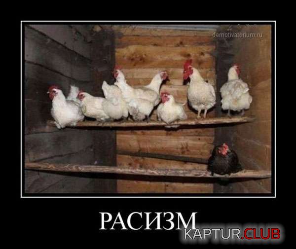 4.jpg | Рено Каптур Клуб Россия | Форум KAPTUR.SU