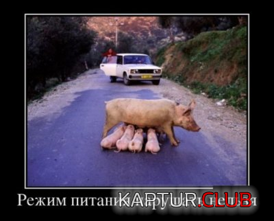 4.png | Рено Каптур Клуб Россия | Форум KAPTUR.SU