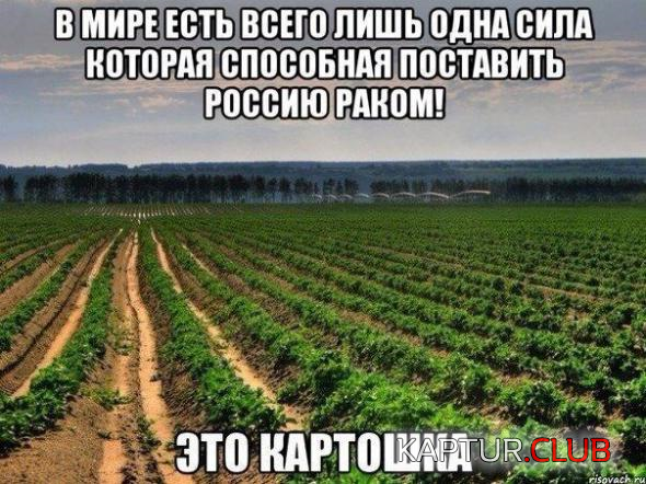 4.png | Рено Каптур Клуб Россия | Форум KAPTUR.SU