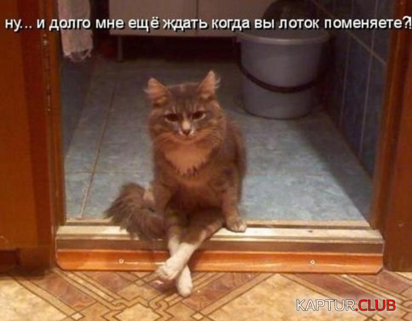4.png | Рено Каптур Клуб Россия | Форум KAPTUR.SU