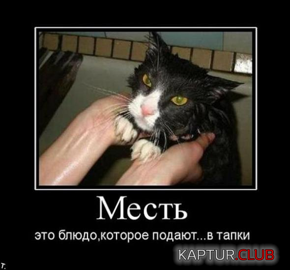 4.png | Рено Каптур Клуб Россия | Форум KAPTUR.SU