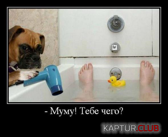 4.png | Рено Каптур Клуб Россия | Форум KAPTUR.SU