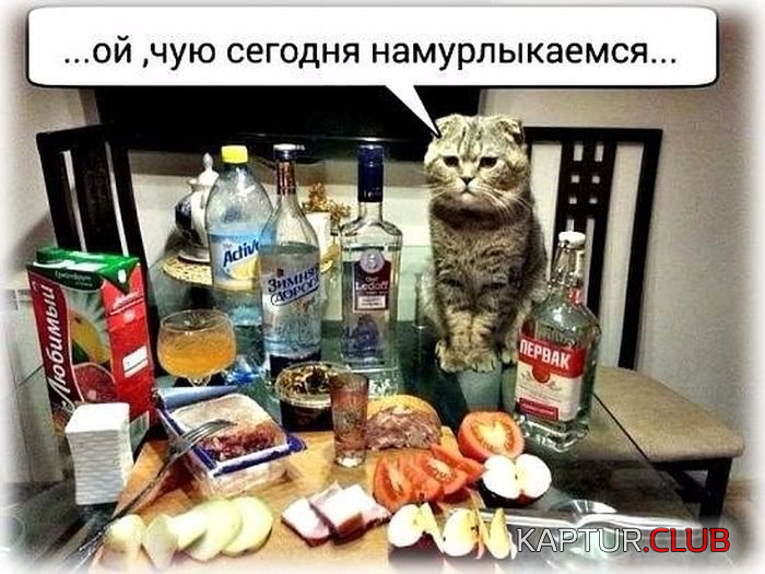 4.png | Рено Каптур Клуб Россия | Форум KAPTUR.SU