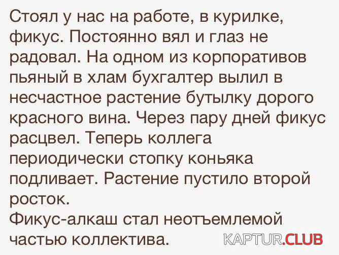 4.png | Рено Каптур Клуб Россия | Форум KAPTUR.SU