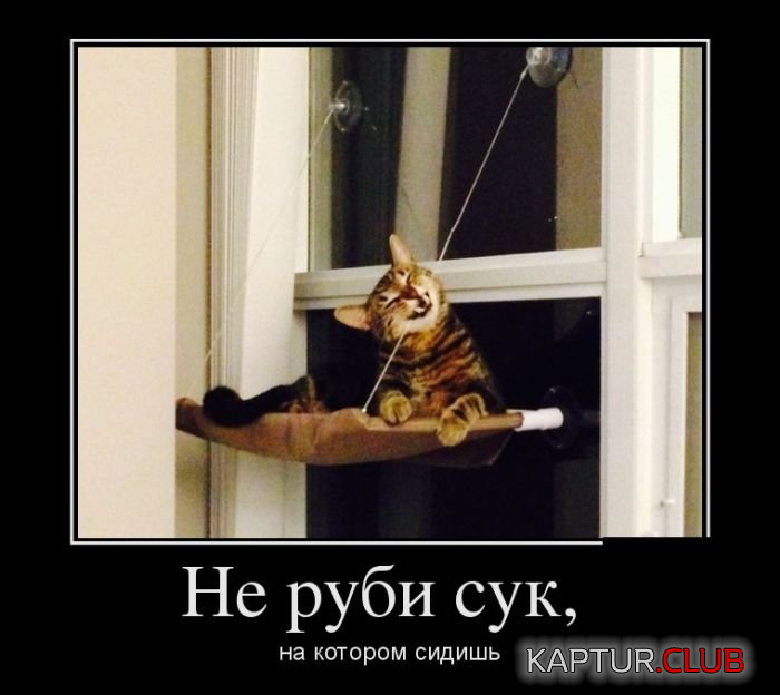 4.png | Рено Каптур Клуб Россия | Форум KAPTUR.SU