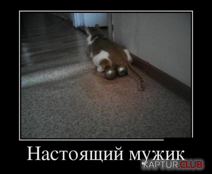 4.png | Рено Каптур Клуб Россия | Форум KAPTUR.SU